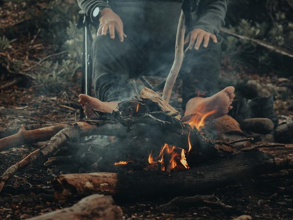 Pourquoi visiter l'aquarium de Marne-la-Vallée ?