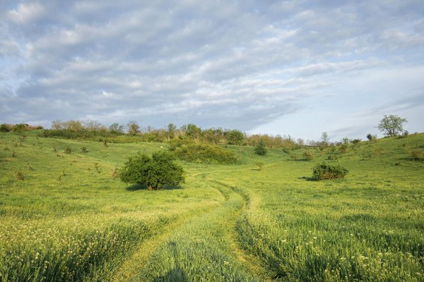 Quels sont les horaires du parc des félins ?