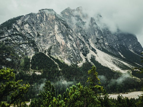 Pourquoi les trois forêts Center Parc sont-elles si populaires ?
