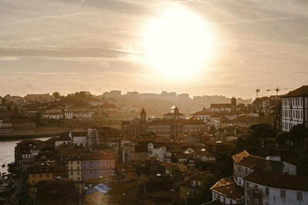 Quels sont les meilleurs parcs animaliers en Loire-Atlantique ?
